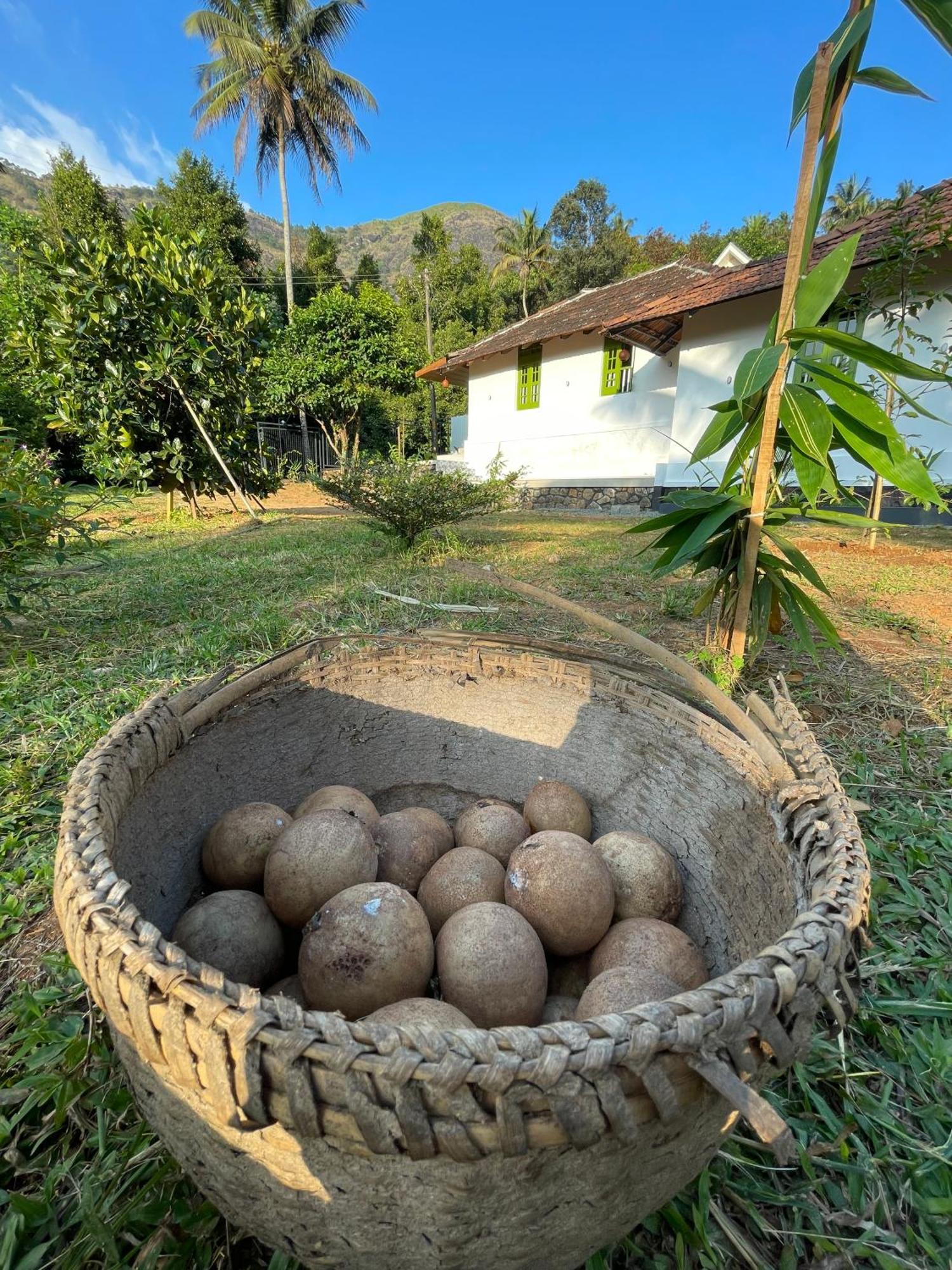 Calm Shack - 2 Bedroom-Boutique Farm Stay Munnar Bagian luar foto