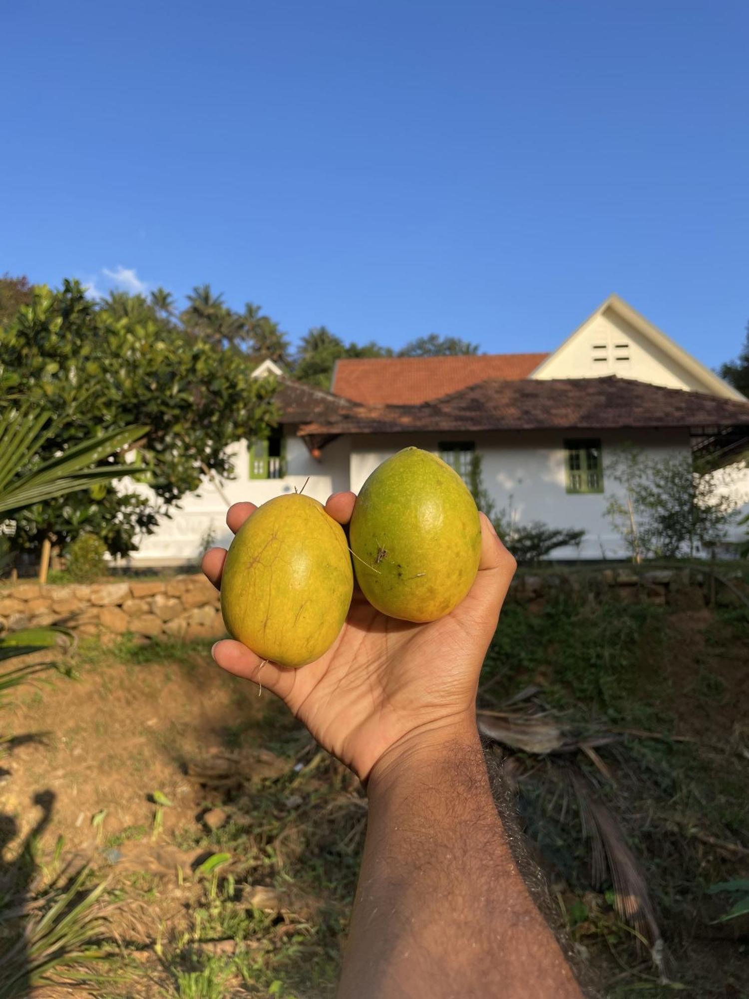 Calm Shack - 2 Bedroom-Boutique Farm Stay Munnar Bagian luar foto