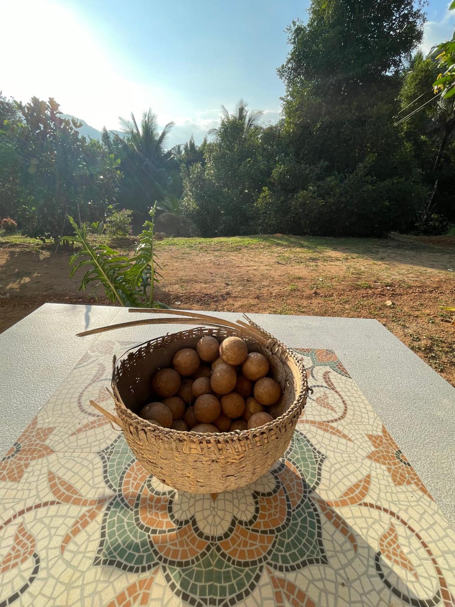 Calm Shack - 2 Bedroom-Boutique Farm Stay Munnar Bagian luar foto