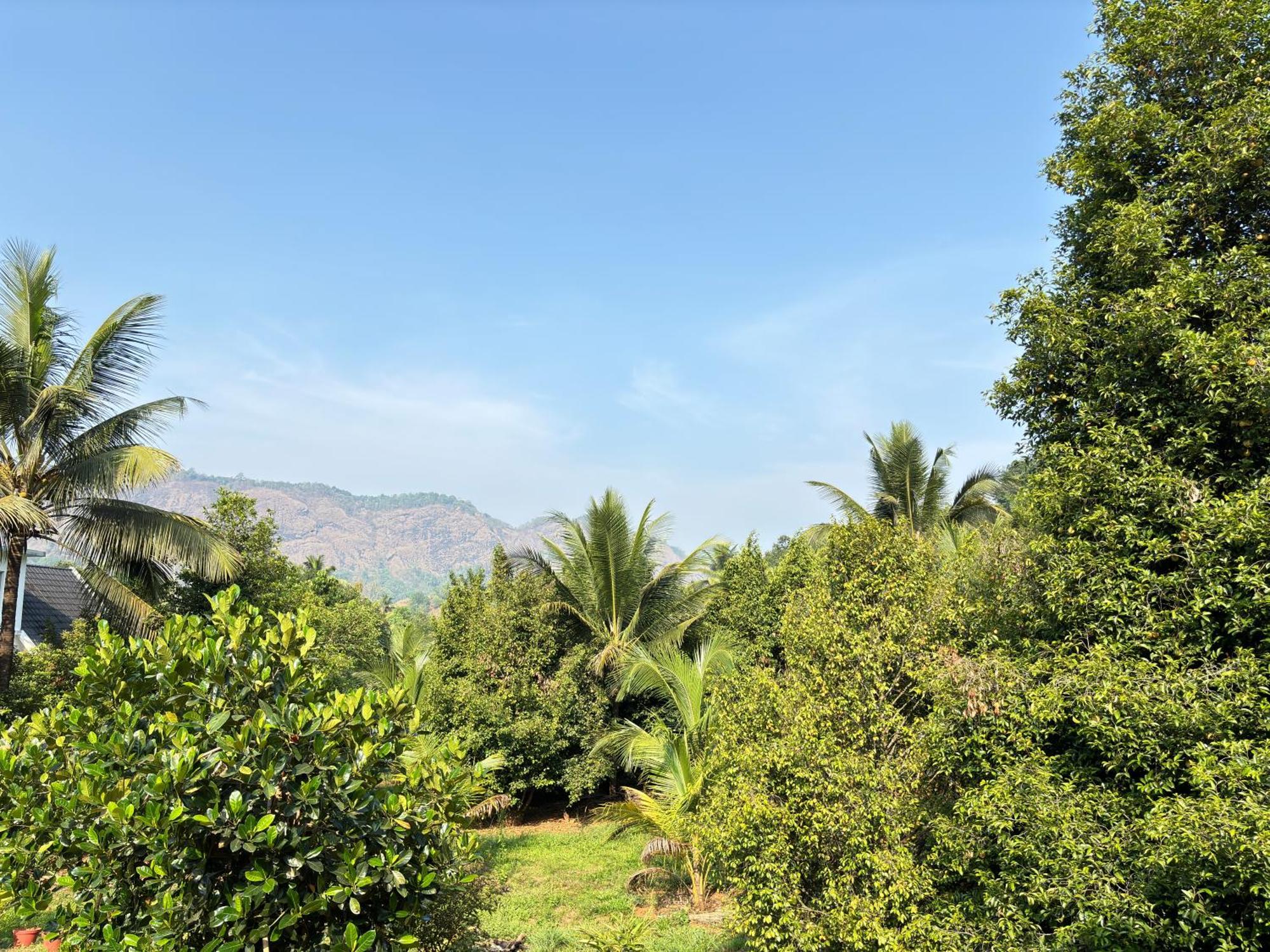 Calm Shack - 2 Bedroom-Boutique Farm Stay Munnar Bagian luar foto